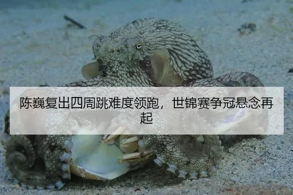 陈巍复出四周跳难度领跑，世锦赛争冠悬念再起